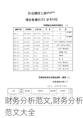 财务分析范文,财务分析范文大全-第2张图片-二喜范文网