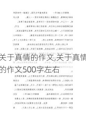 关于真情的作文,关于真情的作文500字左右-第1张图片-二喜范文网