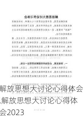 解放思想大讨论心得体会,解放思想大讨论心得体会2023-第3张图片-二喜范文网