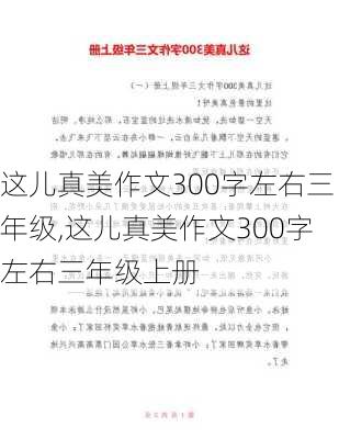 这儿真美作文300字左右三年级,这儿真美作文300字左右三年级上册-第2张图片-二喜范文网