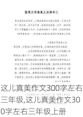 这儿真美作文300字左右三年级,这儿真美作文300字左右三年级上册-第3张图片-二喜范文网