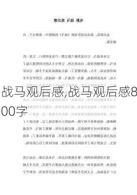 战马观后感,战马观后感800字-第3张图片-二喜范文网