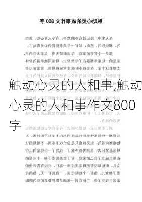 触动心灵的人和事,触动心灵的人和事作文800字-第3张图片-二喜范文网