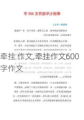 牵挂 作文,牵挂作文600字作文-第3张图片-二喜范文网