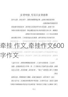 牵挂 作文,牵挂作文600字作文-第1张图片-二喜范文网