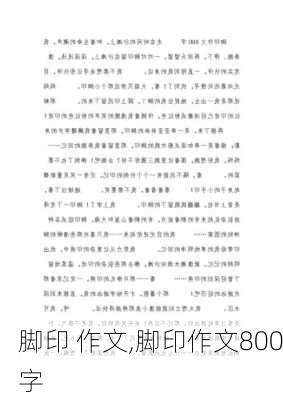 脚印 作文,脚印作文800字-第1张图片-二喜范文网