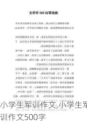 小学生军训作文,小学生军训作文500字-第3张图片-二喜范文网