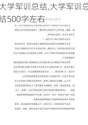 大学军训总结,大学军训总结500字左右-第2张图片-二喜范文网