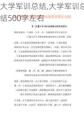 大学军训总结,大学军训总结500字左右-第3张图片-二喜范文网