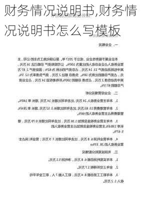 财务情况说明书,财务情况说明书怎么写模板-第3张图片-二喜范文网