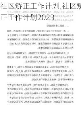 社区矫正工作计划,社区矫正工作计划2023-第1张图片-二喜范文网