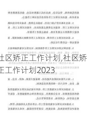 社区矫正工作计划,社区矫正工作计划2023-第3张图片-二喜范文网