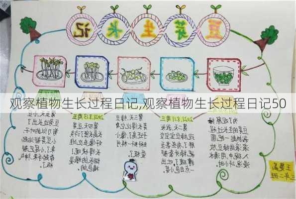 观察植物生长过程日记,观察植物生长过程日记50-第1张图片-二喜范文网