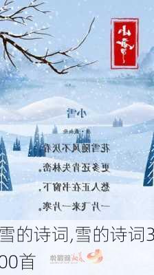 雪的诗词,雪的诗词300首-第2张图片-二喜范文网