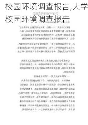 校园环境调查报告,大学校园环境调查报告-第3张图片-二喜范文网