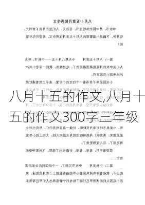 八月十五的作文,八月十五的作文300字三年级-第2张图片-二喜范文网