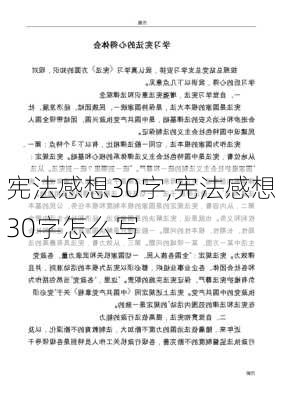 宪法感想30字,宪法感想30字怎么写-第2张图片-二喜范文网