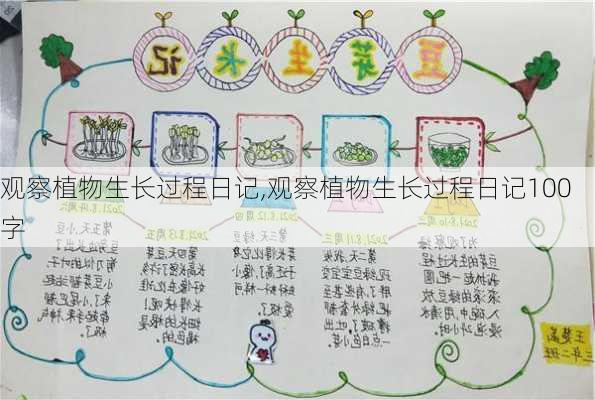 观察植物生长过程日记,观察植物生长过程日记100字-第2张图片-二喜范文网