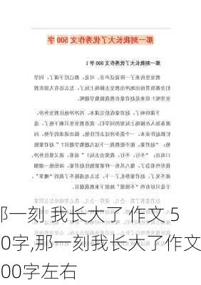 那一刻 我长大了 作文 500字,那一刻我长大了作文500字左右-第3张图片-二喜范文网