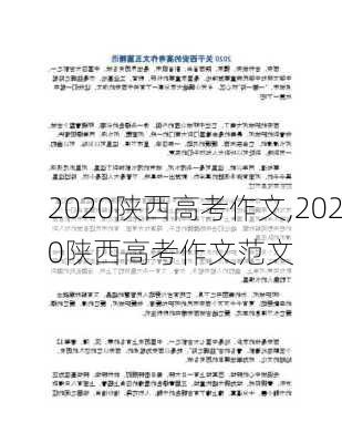 2020陕西高考作文,2020陕西高考作文范文-第3张图片-二喜范文网