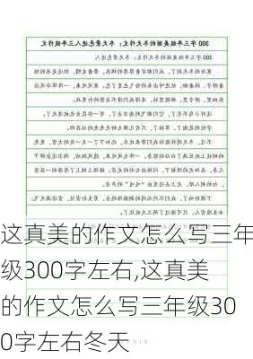 这真美的作文怎么写三年级300字左右,这真美的作文怎么写三年级300字左右冬天-第3张图片-二喜范文网