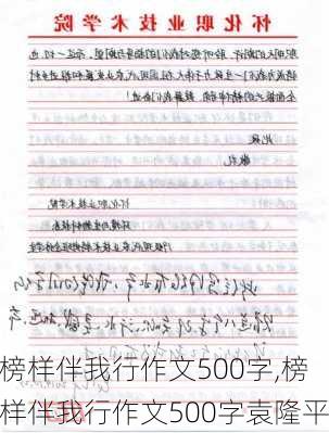 榜样伴我行作文500字,榜样伴我行作文500字袁隆平-第3张图片-二喜范文网