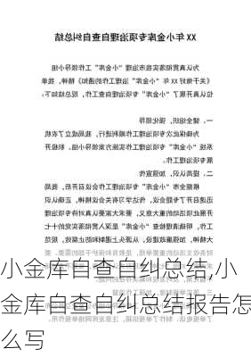 小金库自查自纠总结,小金库自查自纠总结报告怎么写-第3张图片-二喜范文网