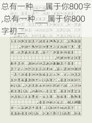 总有一种___属于你800字,总有一种___属于你800字初二-第1张图片-二喜范文网