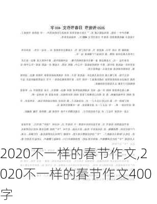 2020不一样的春节作文,2020不一样的春节作文400字-第2张图片-二喜范文网