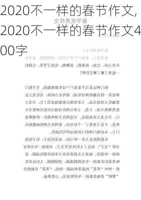 2020不一样的春节作文,2020不一样的春节作文400字-第3张图片-二喜范文网