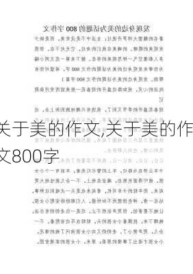 关于美的作文,关于美的作文800字-第3张图片-二喜范文网