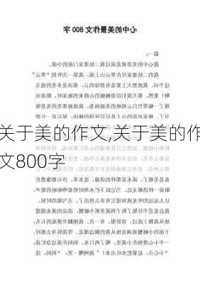 关于美的作文,关于美的作文800字-第2张图片-二喜范文网