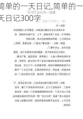 简单的一天日记,简单的一天日记300字-第2张图片-二喜范文网