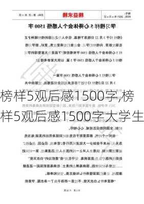 榜样5观后感1500字,榜样5观后感1500字大学生-第3张图片-二喜范文网