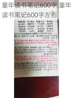 童年读书笔记600字,童年读书笔记600字左右-第1张图片-二喜范文网