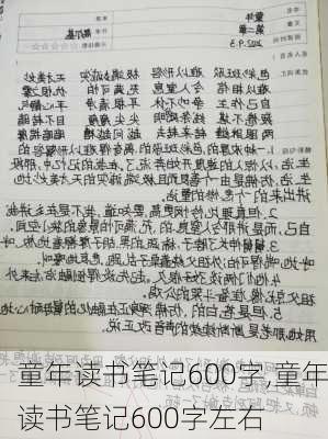 童年读书笔记600字,童年读书笔记600字左右-第3张图片-二喜范文网