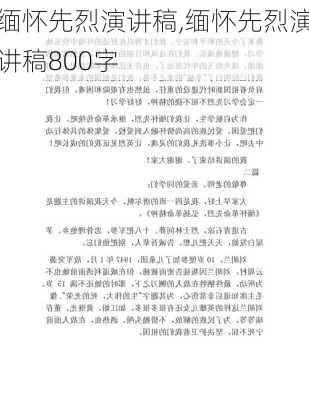 缅怀先烈演讲稿,缅怀先烈演讲稿800字-第1张图片-二喜范文网