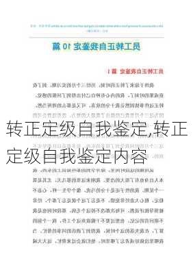 转正定级自我鉴定,转正定级自我鉴定内容-第2张图片-二喜范文网