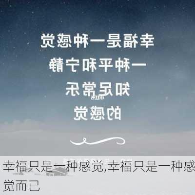 幸福只是一种感觉,幸福只是一种感觉而已-第3张图片-二喜范文网