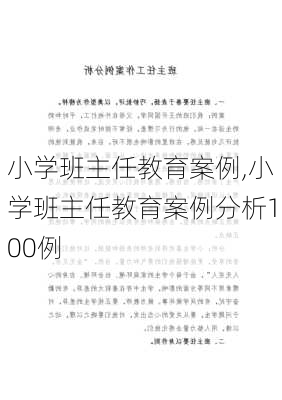 小学班主任教育案例,小学班主任教育案例分析100例-第2张图片-二喜范文网