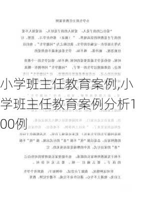 小学班主任教育案例,小学班主任教育案例分析100例-第1张图片-二喜范文网