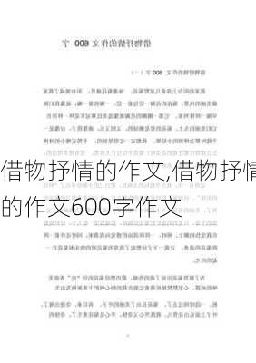 借物抒情的作文,借物抒情的作文600字作文-第1张图片-二喜范文网