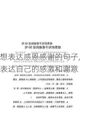 想表达感恩感谢的句子,表达自己的感激和谢意-第2张图片-二喜范文网