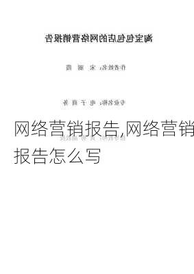 网络营销报告,网络营销报告怎么写-第2张图片-二喜范文网