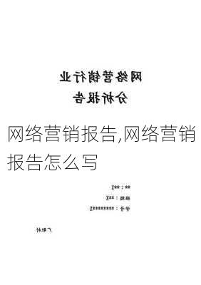 网络营销报告,网络营销报告怎么写-第3张图片-二喜范文网