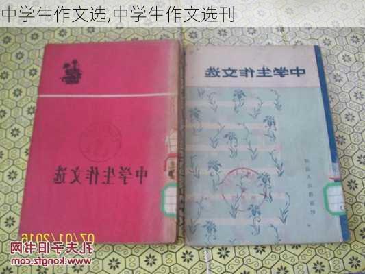 中学生作文选,中学生作文选刊-第3张图片-二喜范文网