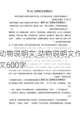 动物说明文,动物说明文作文600字