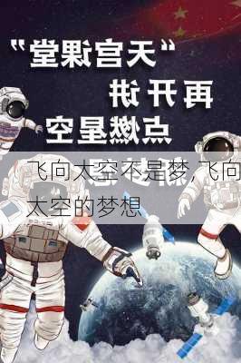 飞向太空不是梦,飞向太空的梦想-第3张图片-二喜范文网