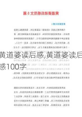 黄道婆读后感,黄道婆读后感100字-第2张图片-二喜范文网