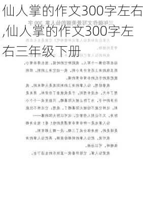 仙人掌的作文300字左右,仙人掌的作文300字左右三年级下册-第2张图片-二喜范文网